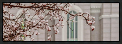 Mount Timpanogos Temple Snowfall
