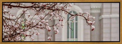 Mount Timpanogos Temple Snowfall