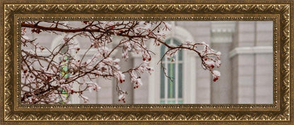 Mount Timpanogos Temple Snowfall