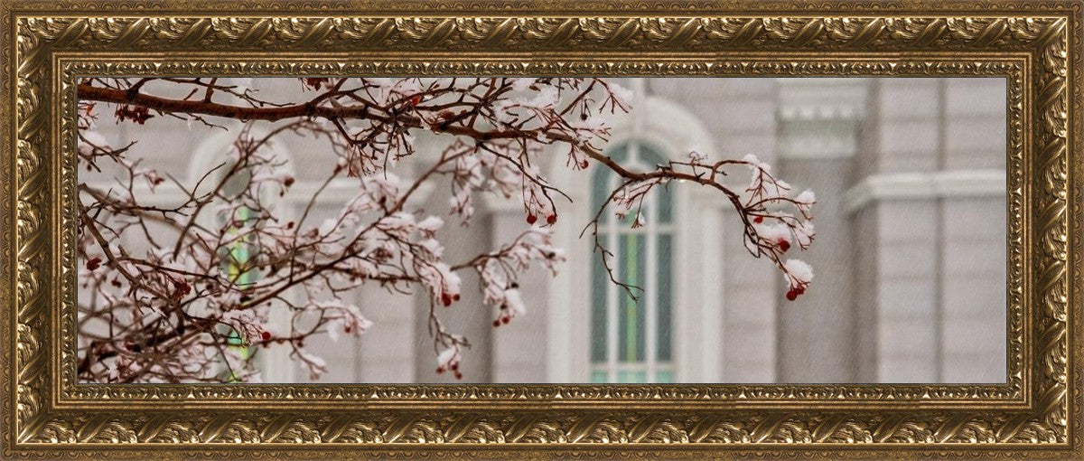 Mount Timpanogos Temple Snowfall