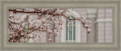 Mount Timpanogos Temple Snowfall
