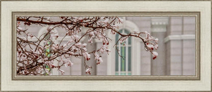 Mount Timpanogos Temple Snowfall