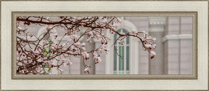 Mount Timpanogos Temple Snowfall