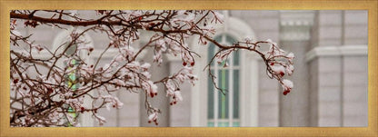 Mount Timpanogos Temple Snowfall