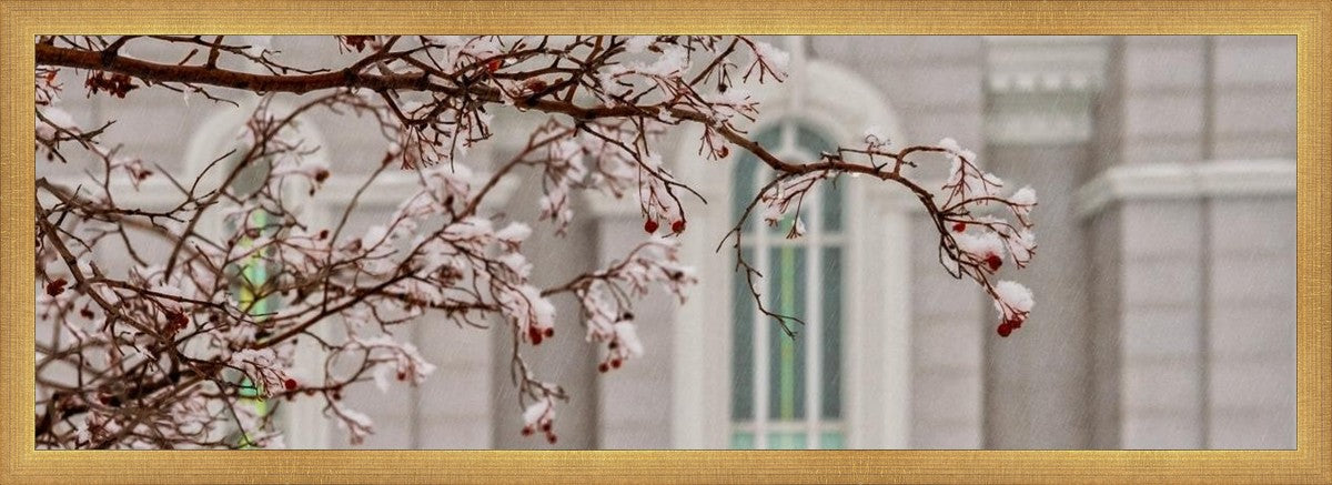 Mount Timpanogos Temple Snowfall