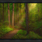 Sacred Grove Gallery Wrap