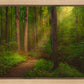 Sacred Grove Gallery Wrap