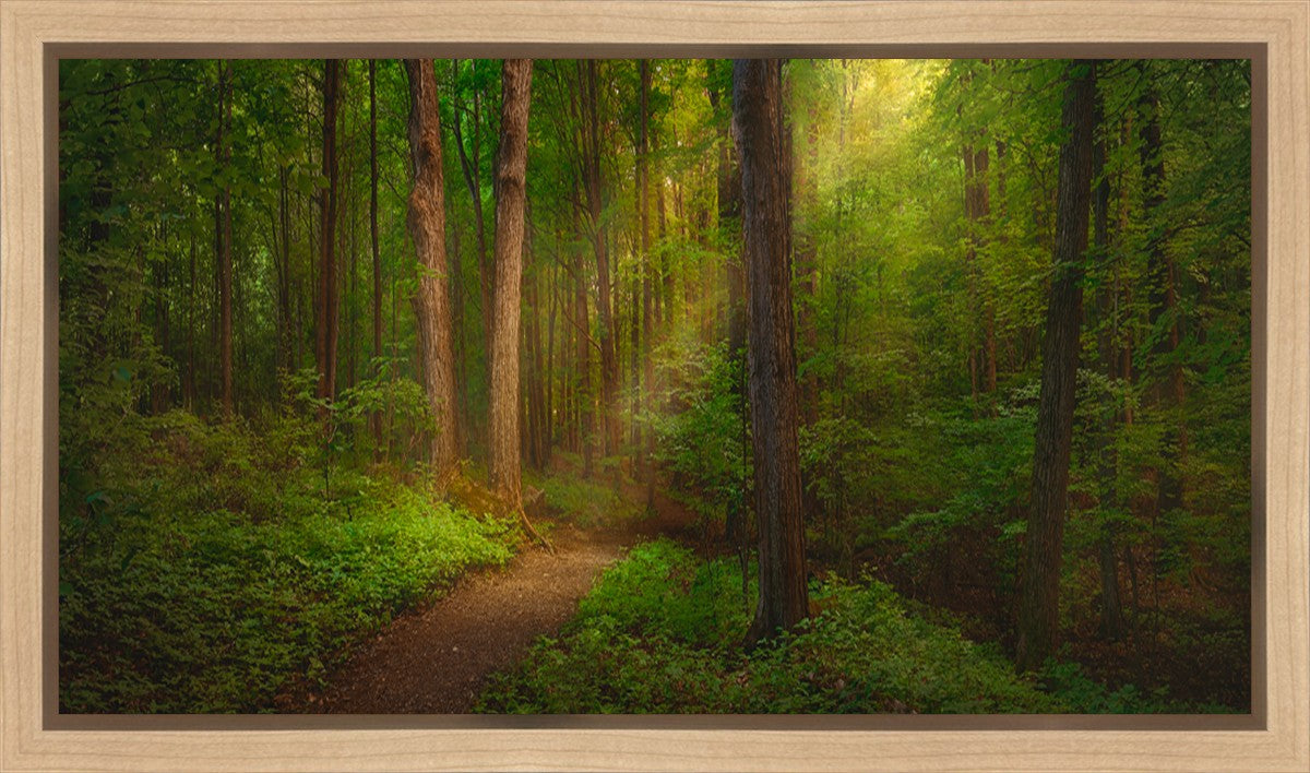 Sacred Grove Gallery Wrap