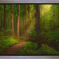 Sacred Grove Gallery Wrap