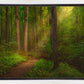 Sacred Grove Gallery Wrap