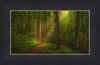 Sacred Grove