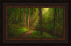 Sacred Grove