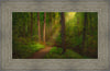 Sacred Grove