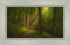 Sacred Grove