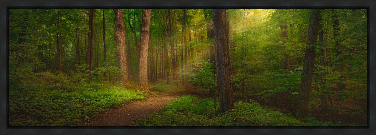 Sacred Grove Gallery Wrap