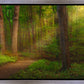 Sacred Grove Gallery Wrap