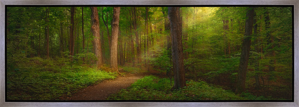 Sacred Grove Gallery Wrap