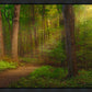 Sacred Grove Gallery Wrap