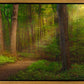 Sacred Grove Gallery Wrap