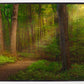 Sacred Grove Gallery Wrap