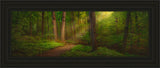 Sacred Grove