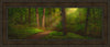 Sacred Grove