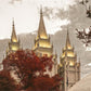 Salt Lake Temple 05