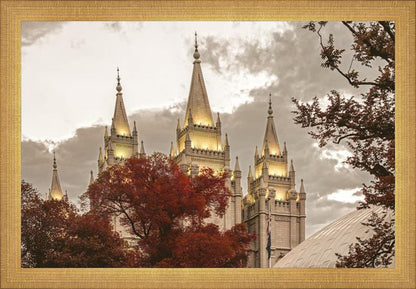 Salt Lake Temple 05