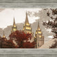 Salt Lake Temple 05