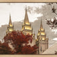 Salt Lake Temple 05