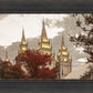 Salt Lake Temple 05
