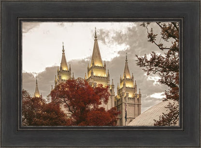 Salt Lake Temple 05