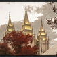 Salt Lake Temple 05