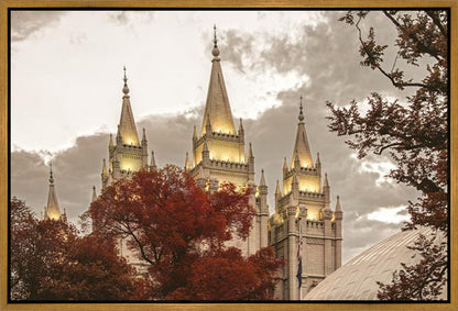 Salt Lake Temple 05