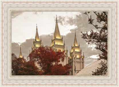 Salt Lake Temple 05