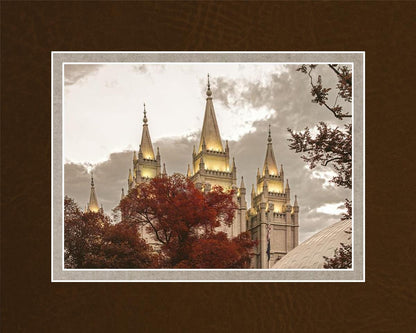 Salt Lake Temple 05