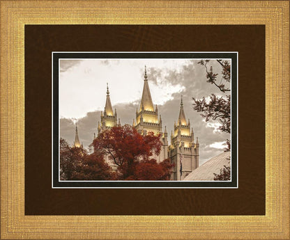 Salt Lake Temple 05