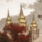 Salt Lake Temple 05