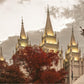 Salt Lake Temple 05