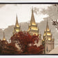 Salt Lake Temple 05