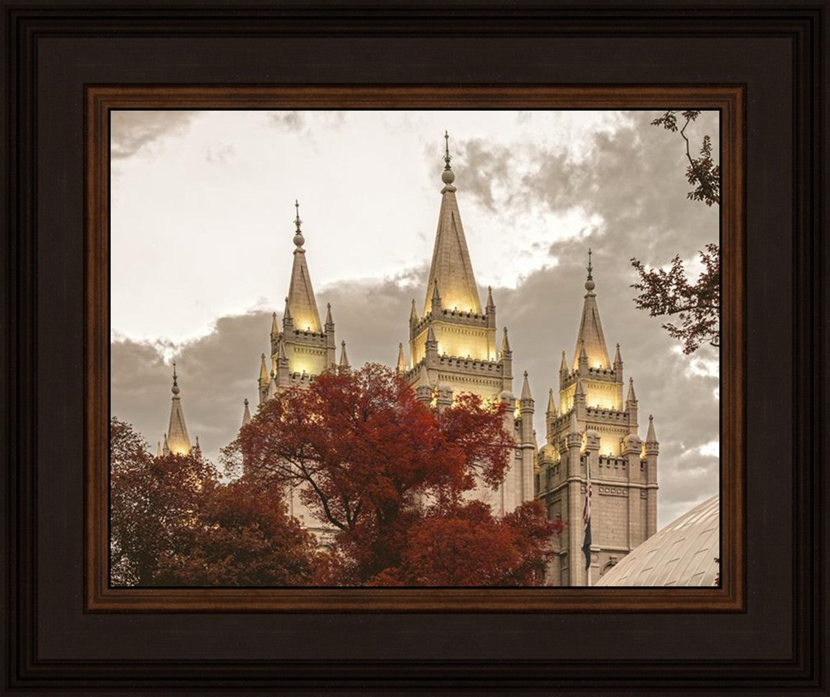 Salt Lake Temple 05