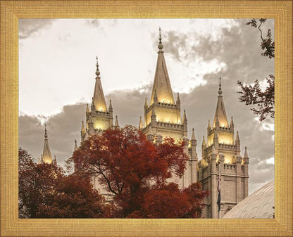 Salt Lake Temple 05