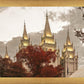 Salt Lake Temple 05