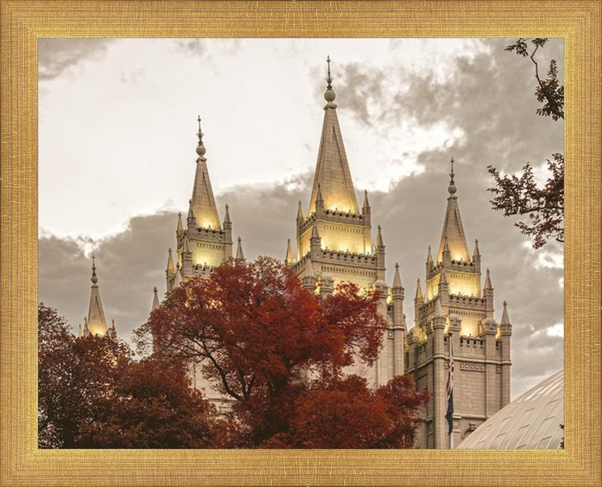 Salt Lake Temple 05