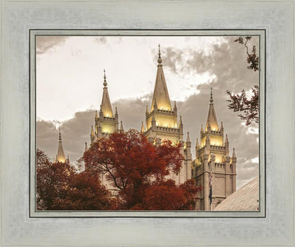 Salt Lake Temple 05