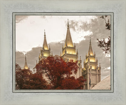 Salt Lake Temple 05