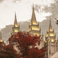 Salt Lake Temple 05