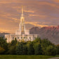 Payson Temple Golden Valley