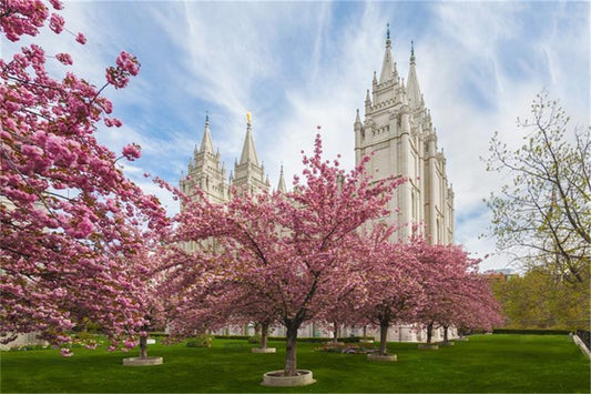 Salt Lake Spring Blossoms Gallery Wrap