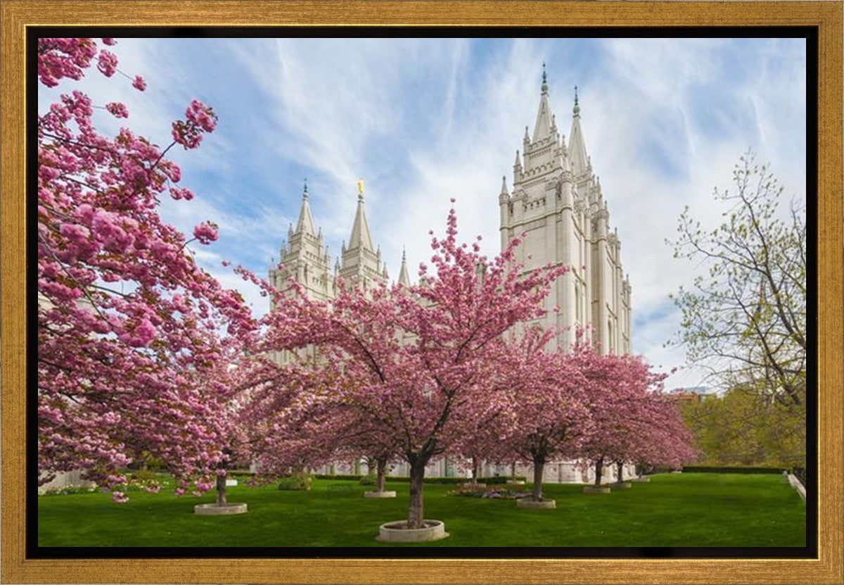 Salt Lake Spring Blossoms Gallery Wrap